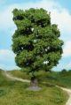 1 Eiche 18 cm