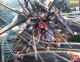 MFB-02 + EW454F Strike Rouge + Ootori Ver.RM MG