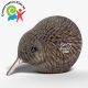 001 Kiwi
