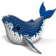 051 Humpback Whale