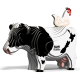 079 Holstein Friesian