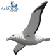 097 Royal Albatros