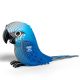 123 Spix's Macaw