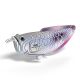 124 Silver Arowana