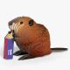 127 Beaver