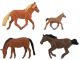 Paarden