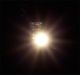 5 LEDs, warm wit