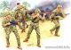 'Bloody Atoll' no.2 - US Marines, Tarawa '43