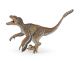 Gevederde Velociraptor