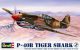 P-40B Tiger Shark