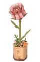 Pink Rose - RoWood
