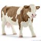 Simmental Koe