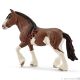 Clydesdale Merrie