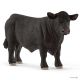 Black Angus Stier