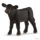 Black Angus Kalf