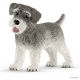 Miniatuur Schnauzer