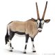 Oryx Antilope