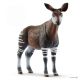 Okapi