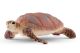 Karetschildpad