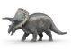 Triceratops
