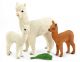 Alpaca Familie