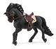 Pura Raza Espanola Hengst met accessoires